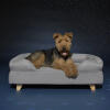 Cane sdraiato su Omlet memory foam bolster dog bed con piedi quadrati in legno