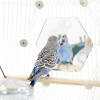 Un pappagallino che guarda uno specchio mentre è seduto su un palo all'interno della gabbia per uccelli Geo 