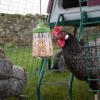Pendant giocattolo di peck progettato da Omlet