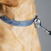 Guinzaglio e collare per cani di design contour grey Omlet