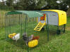 Eglu Cube ombra estiva, mostrata sul giallo pollaio. Eglu Cube