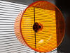 Ruota silenziosa nella gabbia del criceto Qute