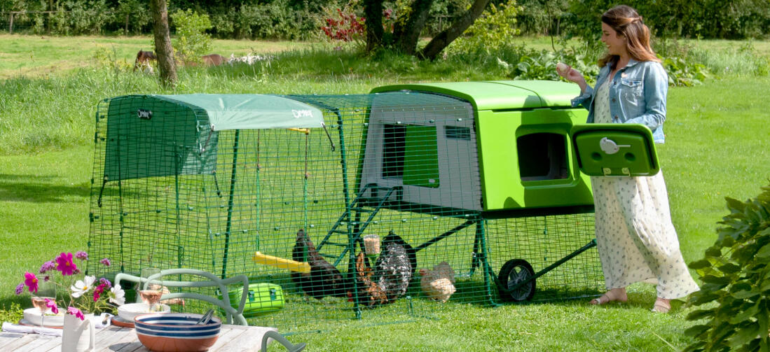I pollai Eglu Cube permettono di tenere le galline con facilità, perfetti sia per chi comincia che per gli esperti. I pollai Eglu Cube permettono di tenere le galline con facilità, perfetti sia per chi comincia che per gli esperti.