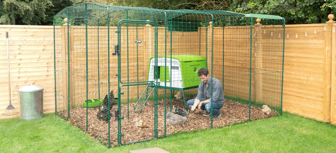 Un uomo e delle galline dentro al recinto per galline Walk in e il grosso pollaio Eglu Cube verde