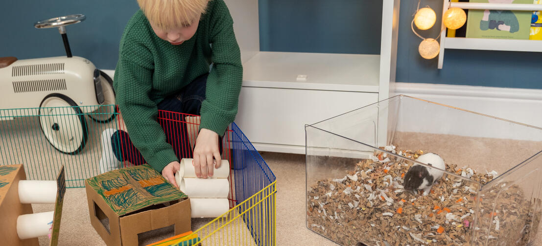 Bambino che crea un'area giochi in cartone mentre il suo criceto è nel vassoio lettiera Qute.