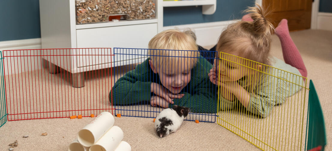 Due bambini stesi sul pavimento che guardano il loro criceto in un recinto colorato.