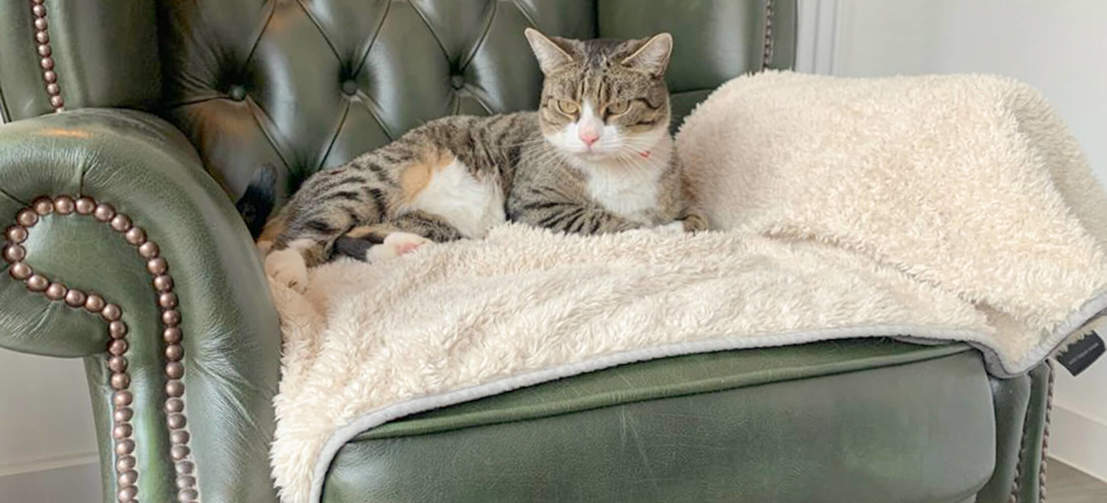 I gatti ameranno rilassarsi su questa super soffice ed elegante coperta per un pisolino pomeridiano.