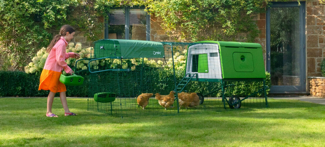 Giovane ragazza nutrire le galline in un verde Cube pollaio con una corsa e copertura