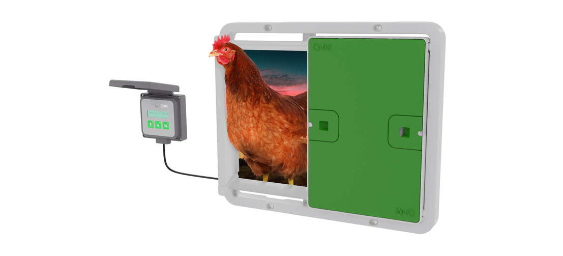 Mettete in sicurezza le galline nel loro Eglu Cube, anche quando non siate a casa, con la porta automatica per pollai della Omlet.
