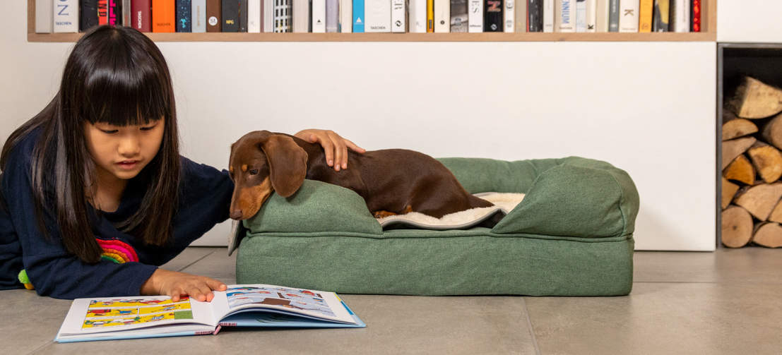 Un cane sbircia il libro della bambina mentre è steso su una cuccia Bolster in memory foam verde salvia