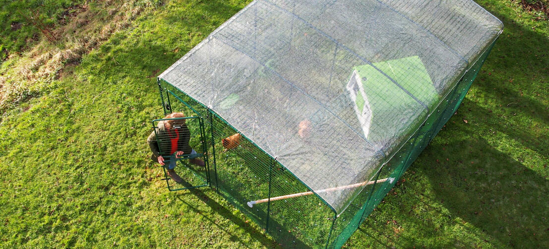 Ripresa dall'alto del proprietario che entra nel suo pollaio ambulante, con una copertura trasparente in cima