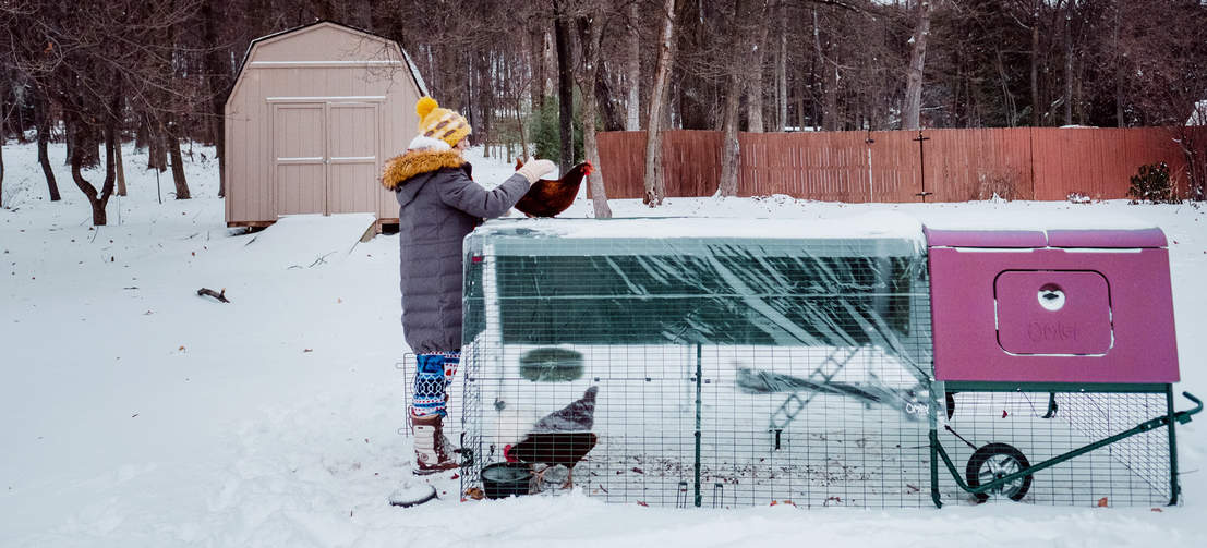 L'Eglu Cube è perfetto tutto l'anno perché ha un isolamento doppio delle pareti per tenere fresco in estate e caldo d'inverno.