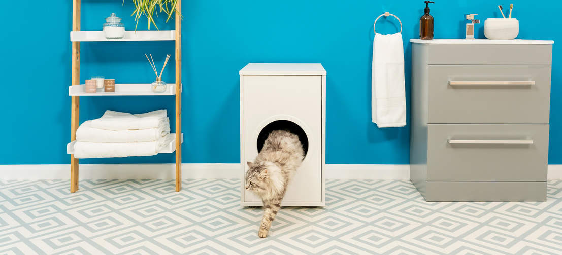 Gatto che si arrampica fuori da Omlet Maya lettiera per gatti mobili