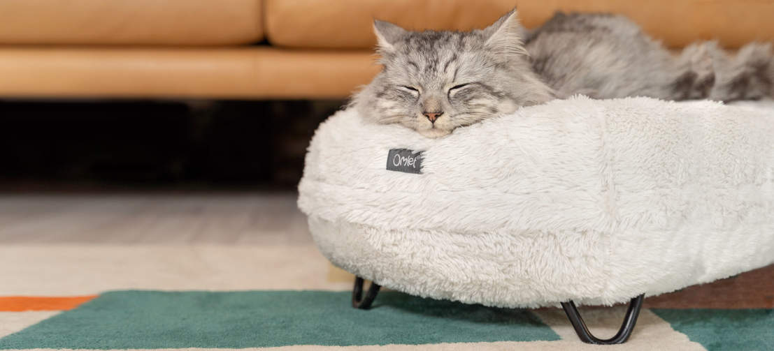 Gatto che dorme su un'elegante e morbida cuccia maya donut bianco neve con piedini a forcella neri in metallo