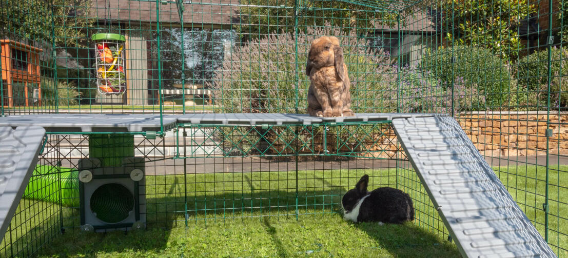 Fate buon uso dello spazio nel recinto a doppia altezza Zippi aggiungendo un secondo piano con le Piattaforme Zippi.