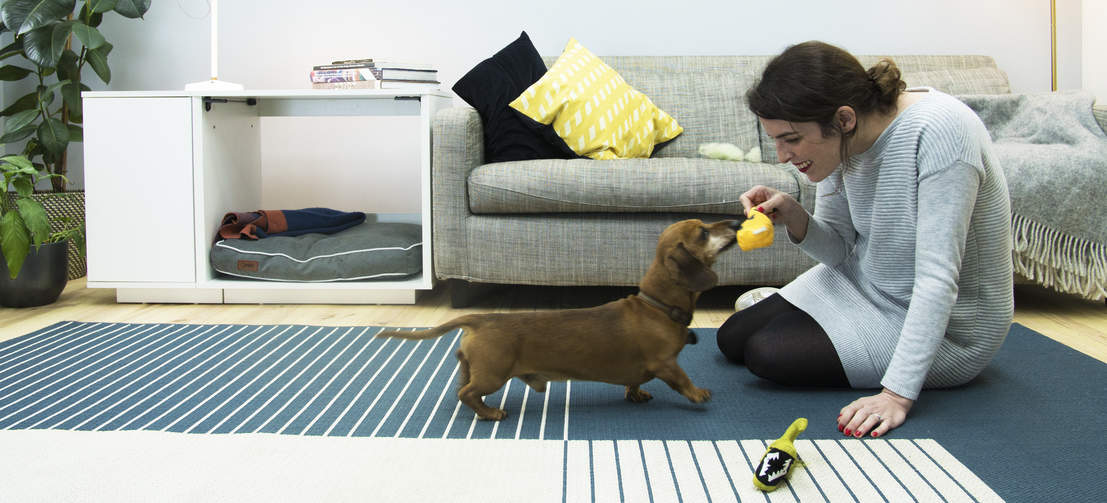 Dare al cane il suo spazio, come il Omlet Fido Nook , è stato dimostrato che migliora la sua fiducia e il suo comportamento generale.