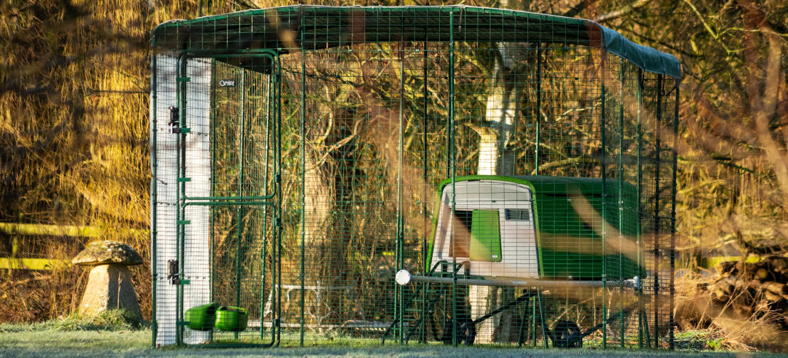 Eglu Cube pollaio all'interno di un percorso pedonale