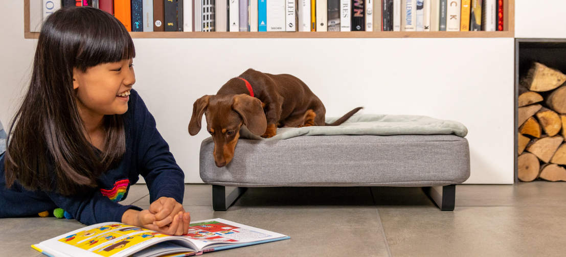 Un cane osserva il libro della bambina mentre è su una cuccia Topology con topper trapuntato e piedini a rotaia neri