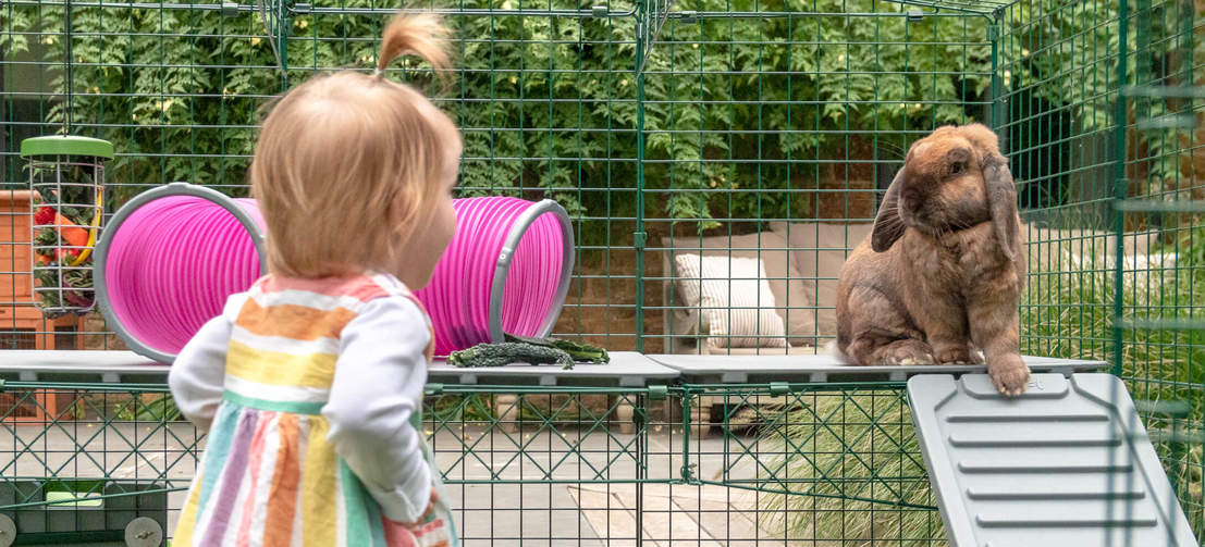 Ai bambini piacerà il recinto di conigli con i nuovi livelli e osservarli esplorare.