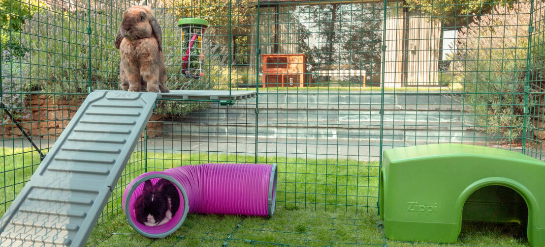 Flopsy si gode lo spettacolo del giardino dalla sua piattaforma ad angolo, mentre Thumper dorme all'ombra nel Tunnel gioco sotto.