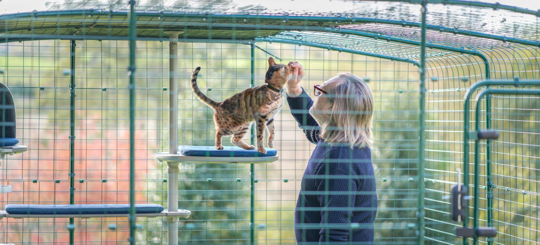 Uomo che accarezza il gatto dentro Omlet catio con Freestyle albero del gatto all'aperto