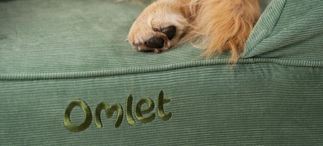 Primo piano delle zampe del cane su una cuccia confortevole e facile da pulire Omlet bolster dog bed