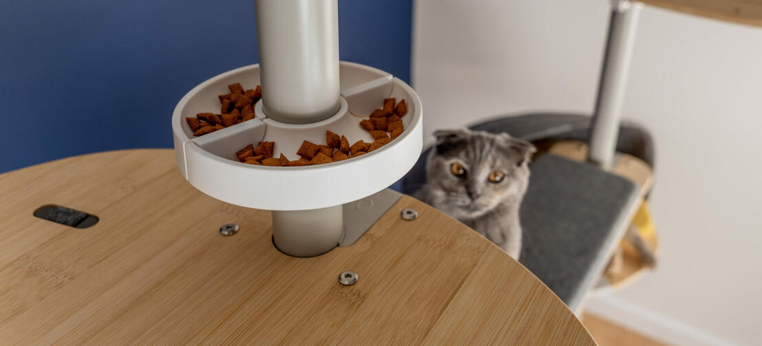 Gatto guardando Freestyle pavimento al soffitto albero gatto trattare ciotola