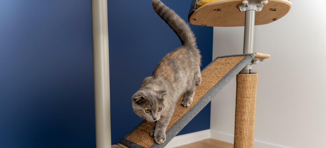 Gatto su Freestyle indoor pavimento al soffitto albero gatto piattaforma con sisal sostituibile