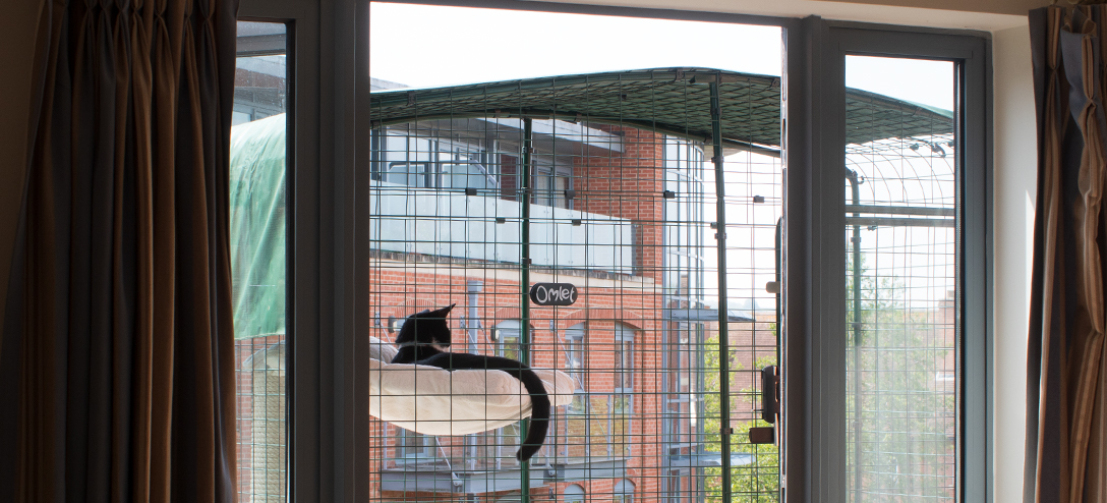 Il recinto da balconi per gatti assicura uno spazio esterno sicuro  da esplorare