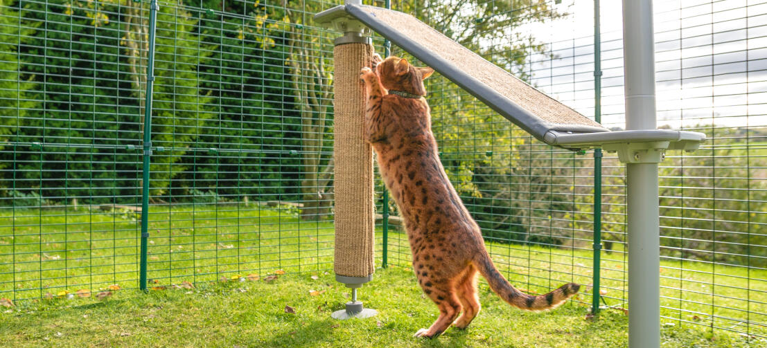 Recinto per Cani e Gatti