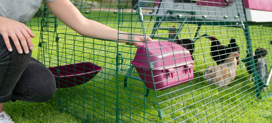 La porta si apre indipendentemente per consentirvi di riempire la mangiatoia e l'abbeveratoio in sicurezza, o per lasciar uscire le galline.