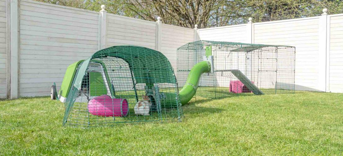 Un giardino con una casetta Eglu Go verde, recinto per conigli Walk in, tunnel Zippi