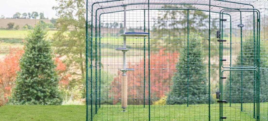 Un catio walk in esteso per gatti e gattini con all'interno un albero per gatti Freestyle da esterno