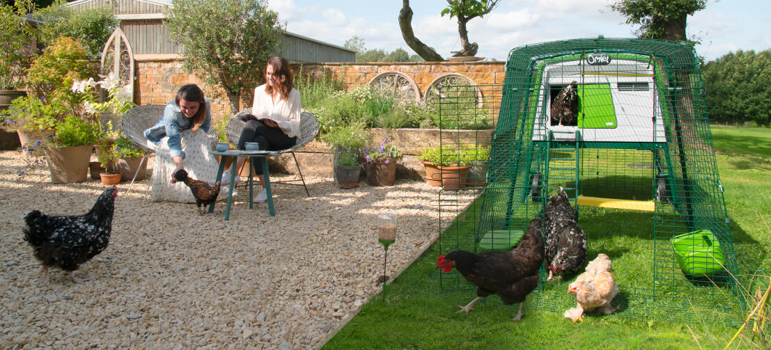 Signore sedute in giardino con le galline che razzolano davanti a un grande pollaio Eglu Cube