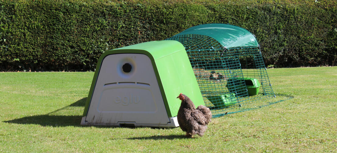 Grazie alla doppia parete isolante, il pollaio Eglu Go mantiene le galline fresche d'estate e calde d'inverno.