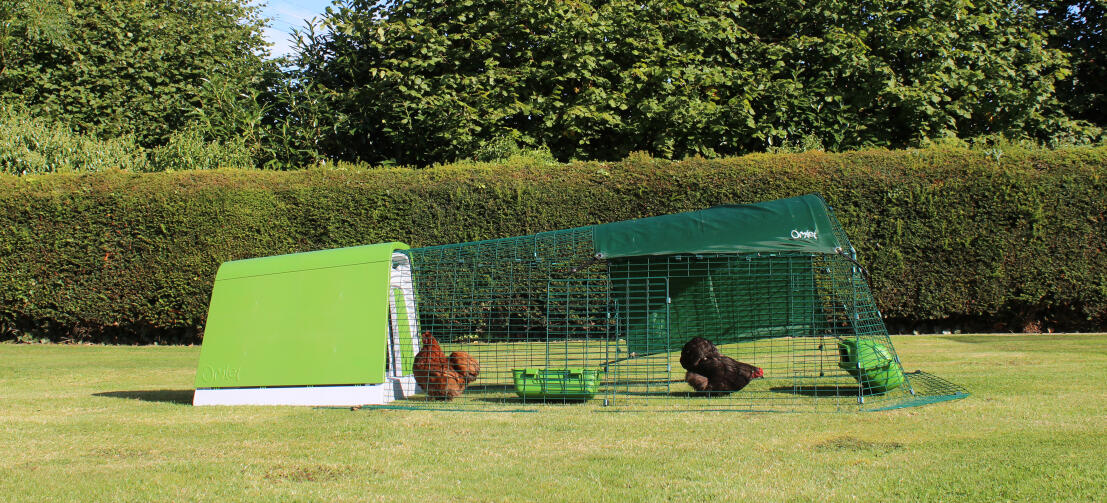 Un Eglu Go pollaio con recinto in un giardino con due galline