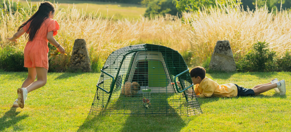 Bambini che giocano in giardino e interagiscono con il loro coniglio attraverso le maglie della pista.