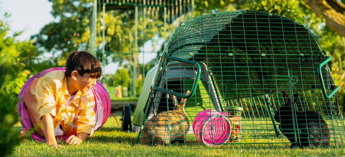 Un bambino che spunta da un tunnel di gioco accanto alla sua conigliera Eglu Go in giardino.