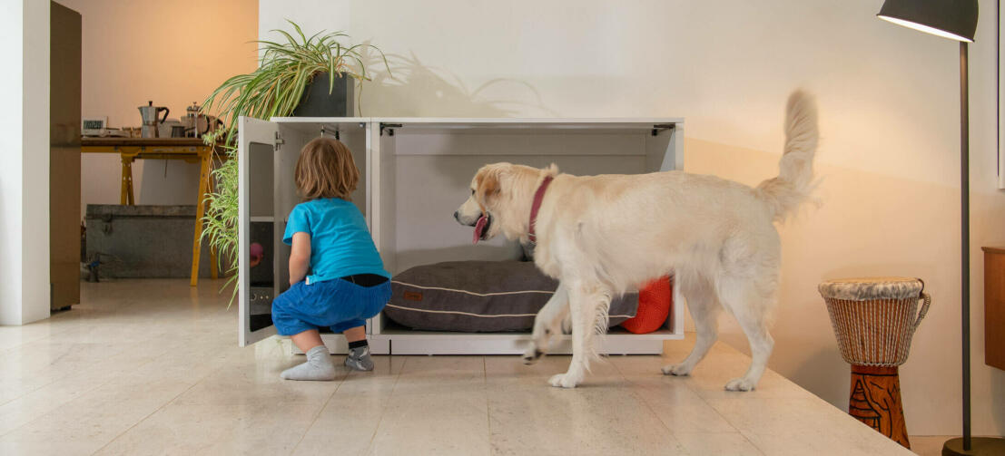 Fido Nook Lux ury cane cassa armadio mantiene il cibo del cane porta e vestiti in ordine