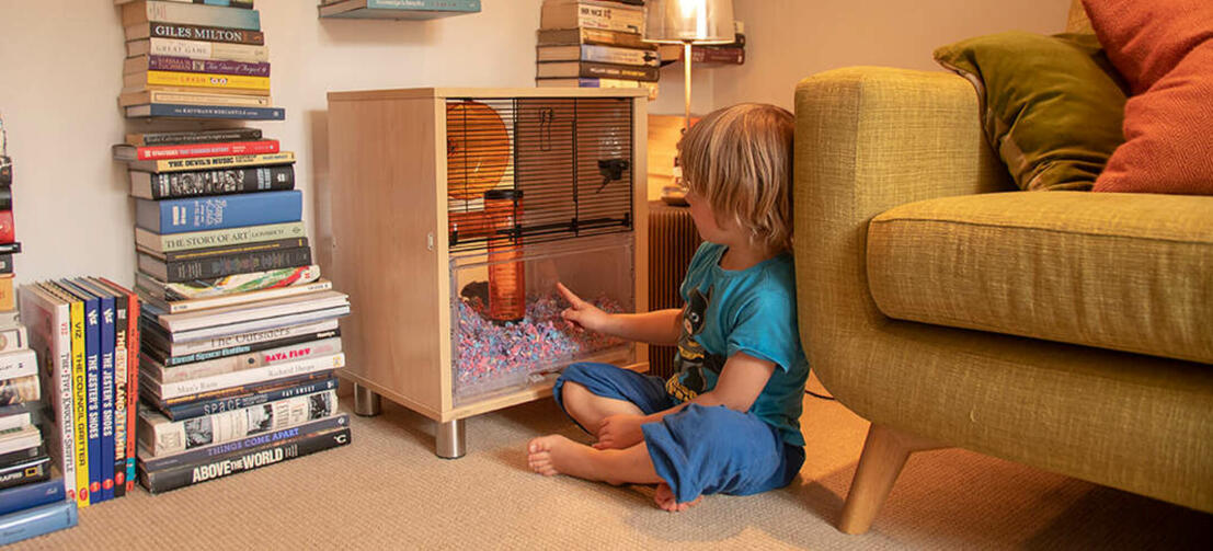 bambino che guarda un criceto all'interno di una gabbia per criceti Qute