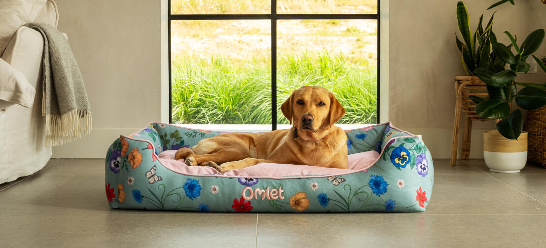Retriever su letto per cani large nest con stampa gardenia sage.