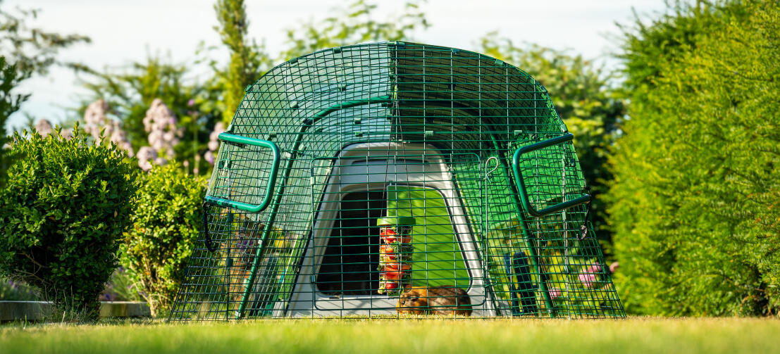 Vista frontale di Eglu Go conigliera in giardino, con porcellino d'india e Caddi portaoggetti all'interno della gabbia.