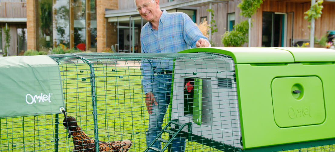 Uomo con grande pollaio Eglu e cortile in un giardino