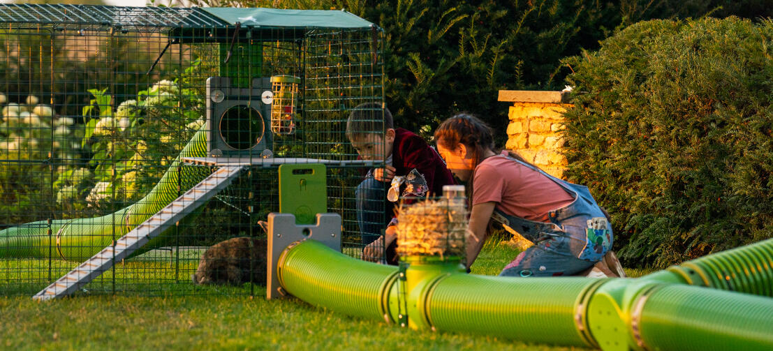 Bambini che interagiscono con il loro coniglio domestico attraverso la rete della pista Zippi.