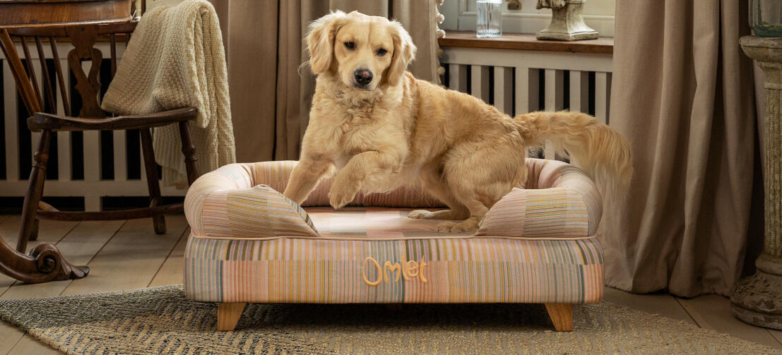 Retriever su letto per cani con bolster rialzato