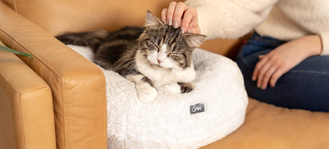 Gatto che dorme nella cuccia donut bianco neve