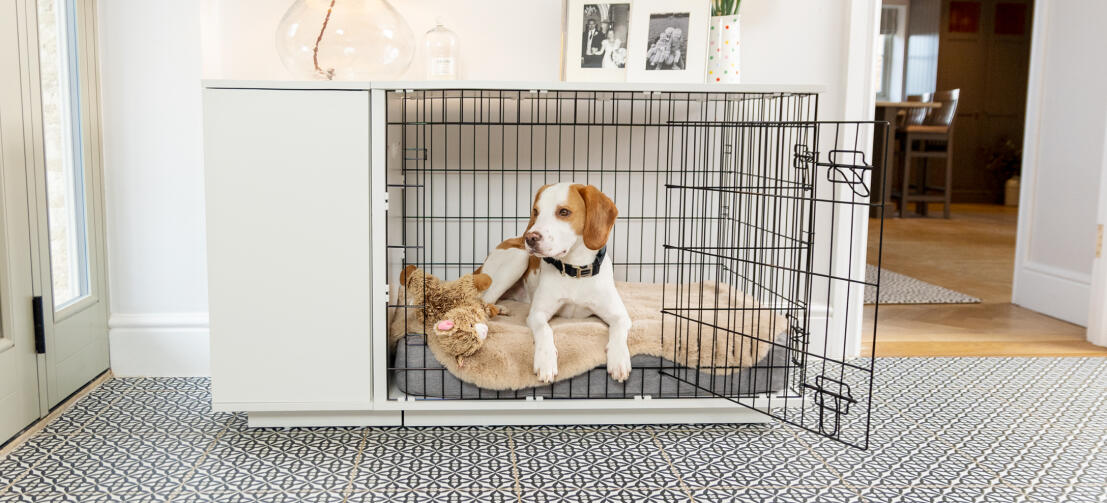 Cane steso nella cuccia topology in memory foam posizionata dentro Fido Studio