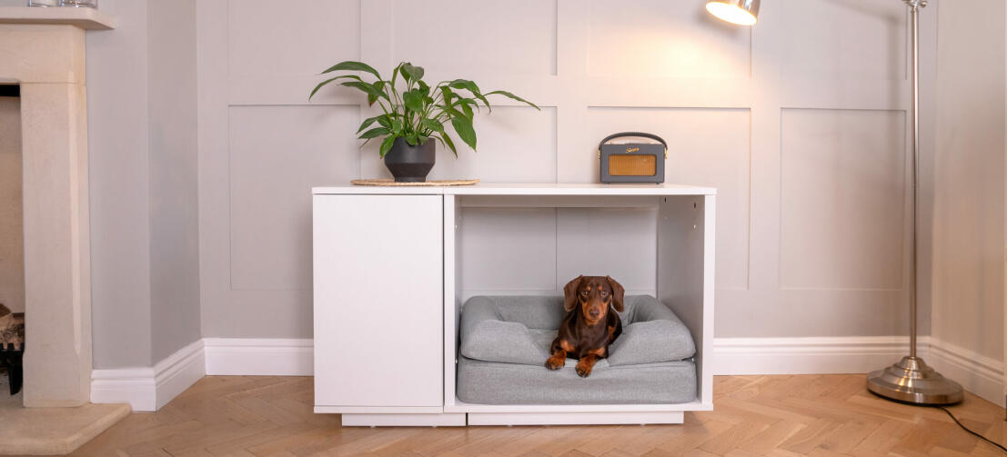 Cane steso su cuccia topology e topper bolster all'interno di Fido Nook