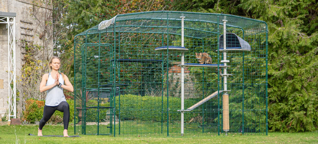 Signora facendo yoga con Omlet catio all'aperto con Freestyle albero di gatto all'aperto con gatto seduto su di esso