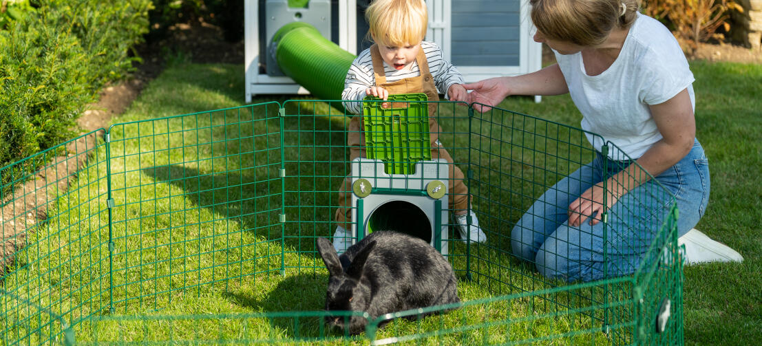 Famiglia che gioca con il proprio coniglio domestico all'interno di un box Zippi.